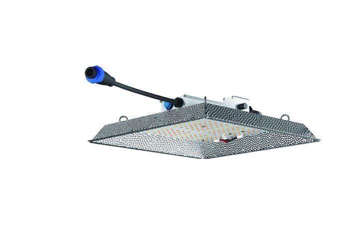 CastleGreens QUANTUM series LED bars